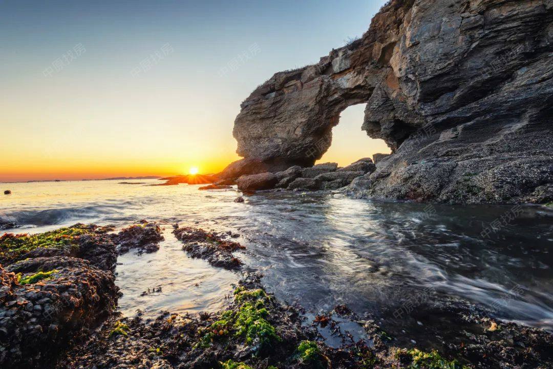 一图看懂：机器人不断“进化”！蕴藏哪些投资机会？收下这份投资指南(图1)